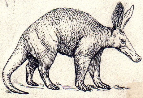 Aardvark andersom Aardvark andersom