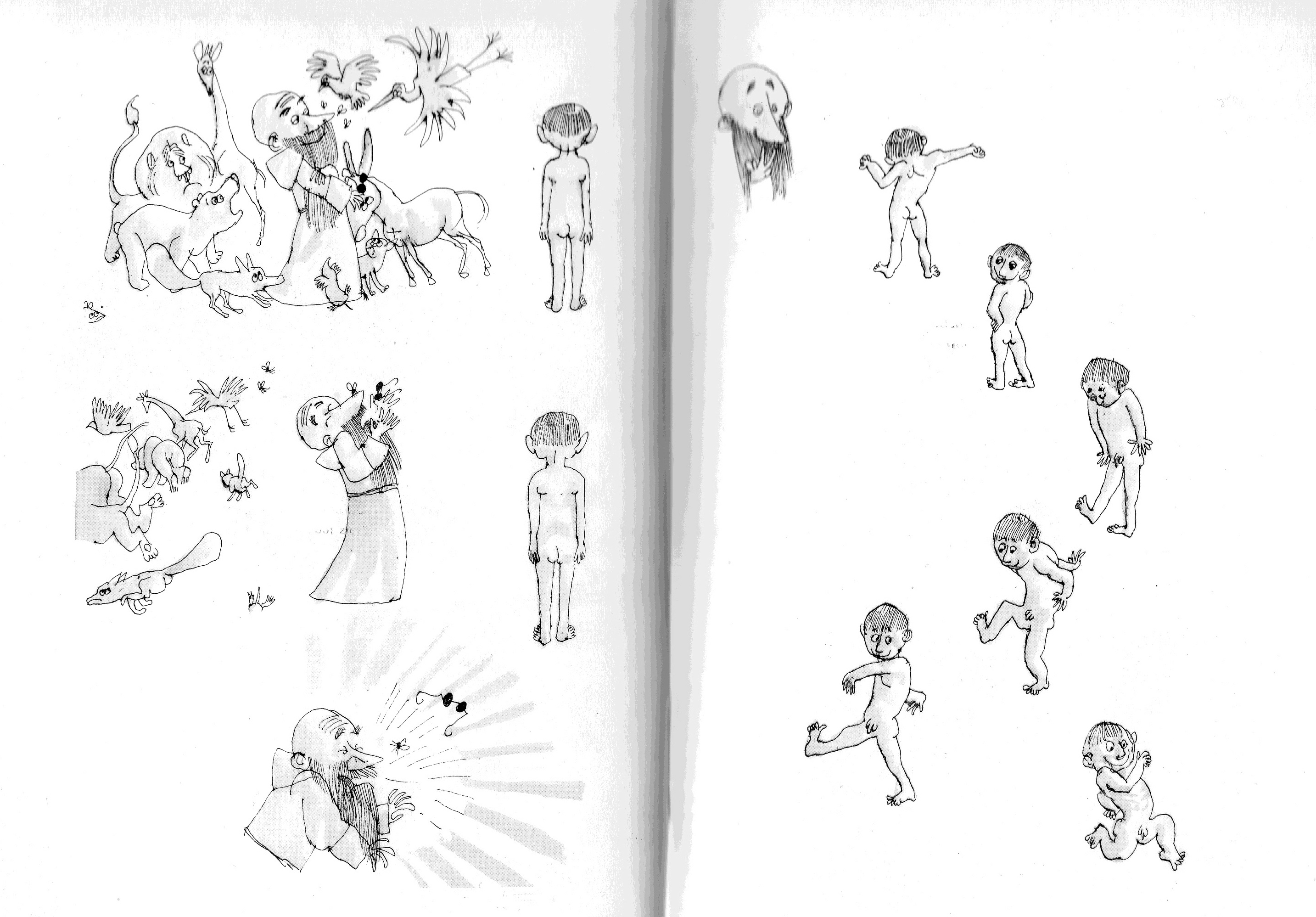 Peter Vos, Jaloers 1 Peter Vos, Nies