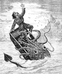 Vledeweekdier Vledeweekdier