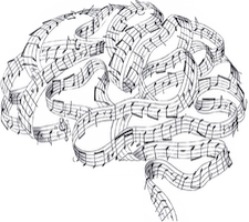 muzikaal brein muzikaal brein